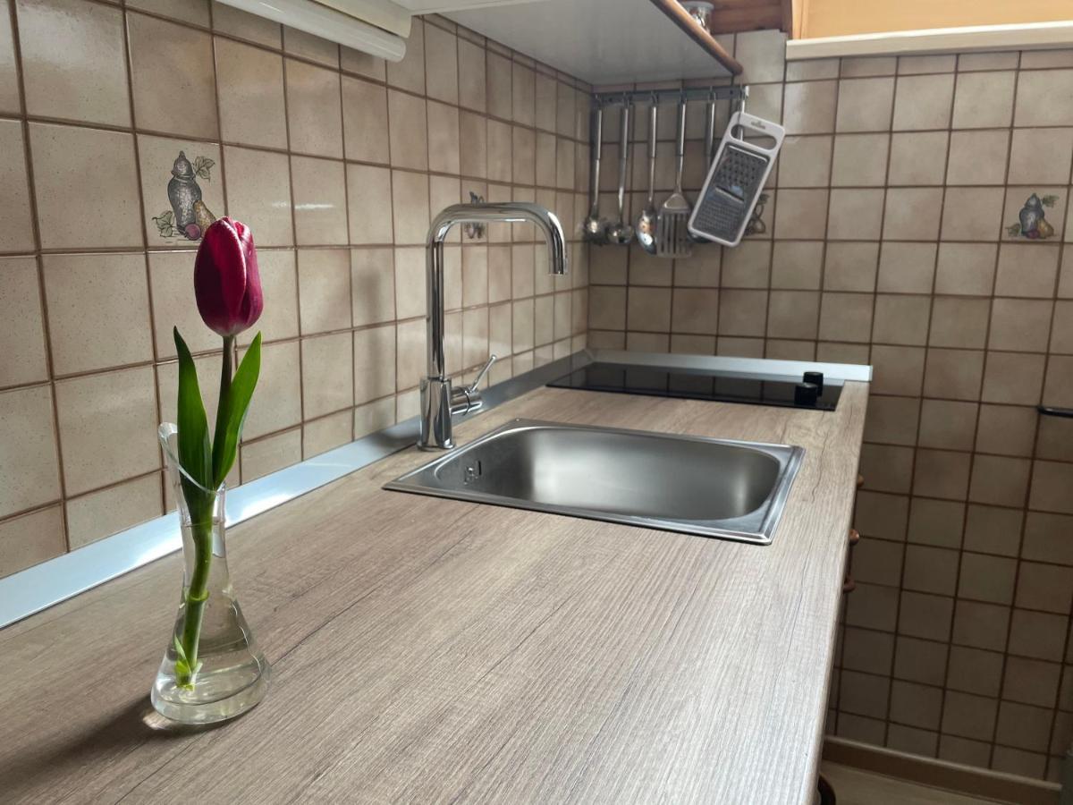 Apartmaji Prezelj Bohinj Extérieur photo