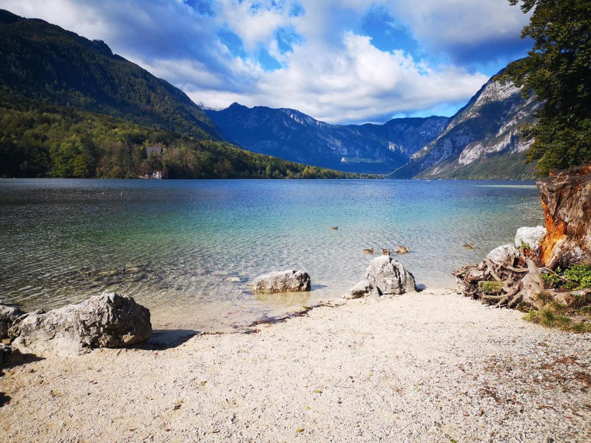 Apartmaji Prezelj Bohinj Extérieur photo
