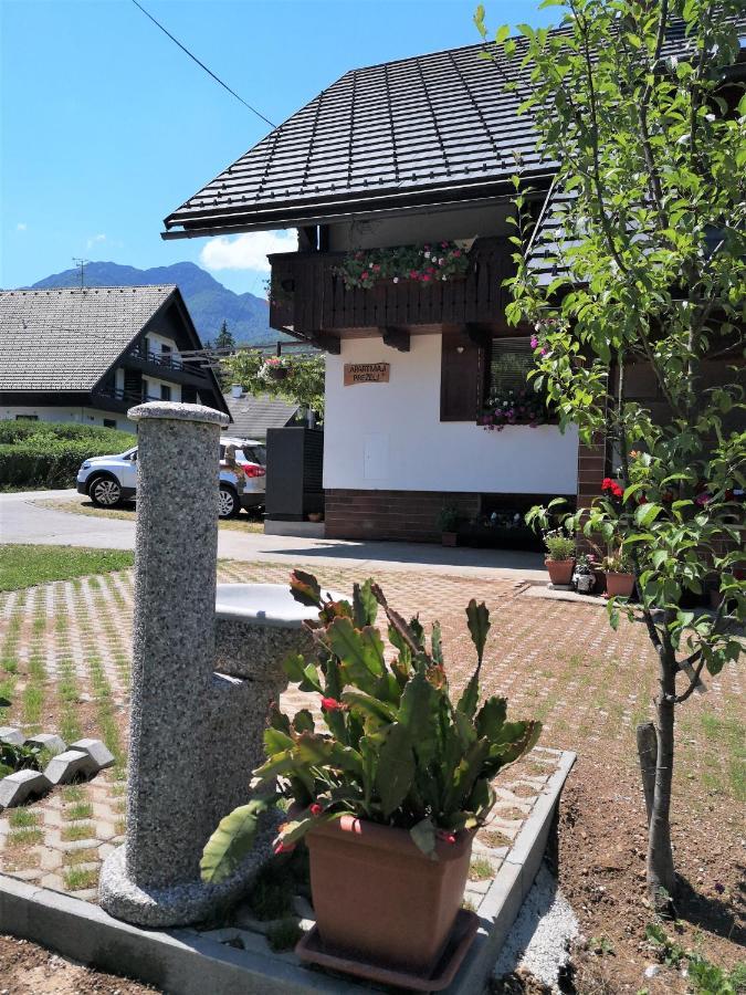 Apartmaji Prezelj Bohinj Extérieur photo