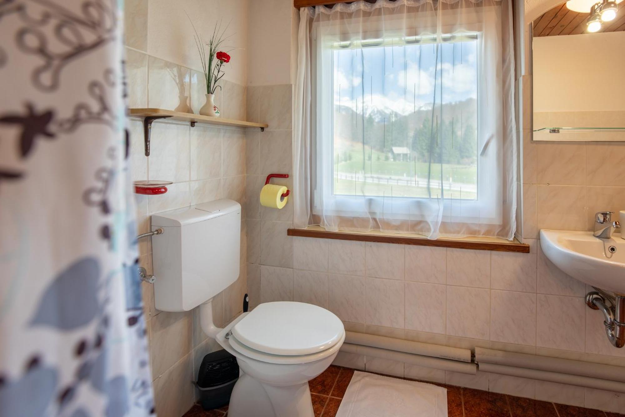 Apartmaji Prezelj Bohinj Extérieur photo
